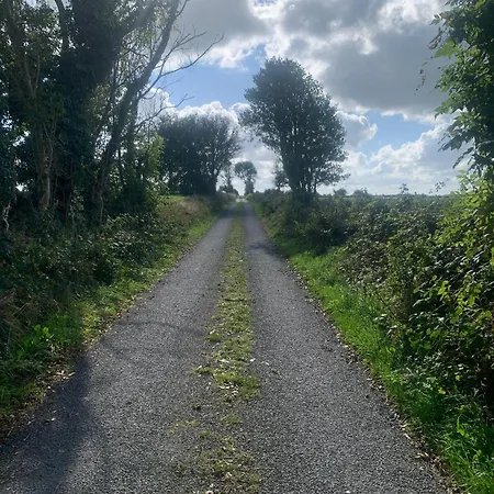 Country Haven Eircode H54 Ak31 Alloggio in famiglia Galway